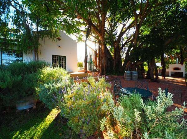 Ferienwohnung Tanagra Wine&Guestfarm McGregor Exterior foto