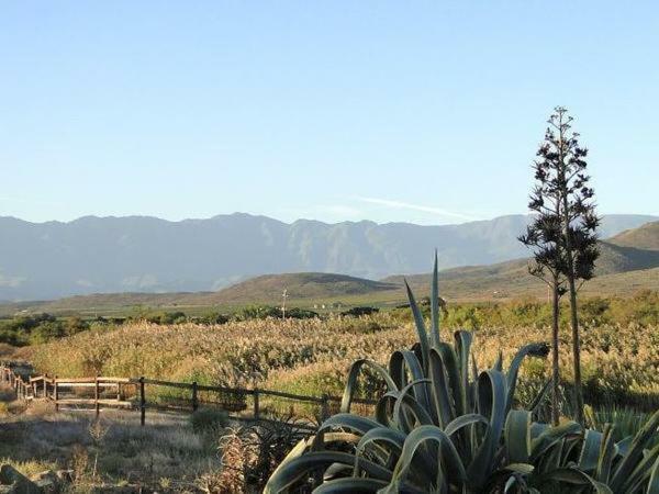 Ferienwohnung Tanagra Wine&Guestfarm McGregor Exterior foto